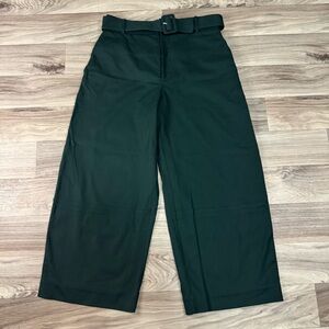 Everlane The Structured Cotton Belted Pant High Rise Barrel Dark Green Size 12